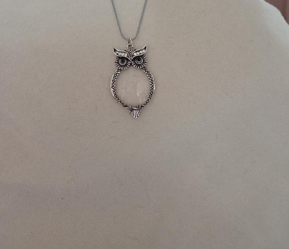 Silver Owl Magnifying Pendant Necklace - Picture 2 of 4